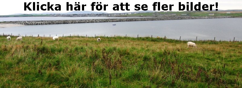 Skottland
